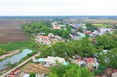 Ảnh chỉ mang tính minh họa. Nguồn Internet