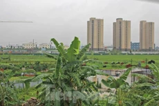 Bắc Giang xử phạt và 'bêu tên' loạt dự án vi phạm đất đai