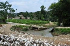 Ảnh chỉ mang tính minh họa. Nguồn Internet