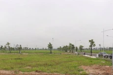 Ảnh minh họa.