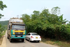 Quốc lộ 14E qua huyện Hiệp Đức rất chật chội, mất an toàn giao thông.