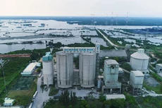 Ảnh chỉ mang tính minh họa. Nguồn Internet