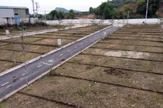 Loạn "thổi giá" thông qua đấu giá đất, đề xuất siết đối tượng tham gia