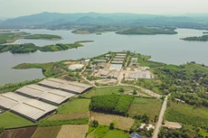 Mục sở thị bếp ăn ‘xịn’ nhất Việt Nam dành riêng cho bò sữa