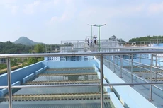 Ảnh chỉ mang tính minh họa. Nguồn Internet