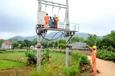 Ảnh chỉ mang tính minh họa. Nguồn Internet