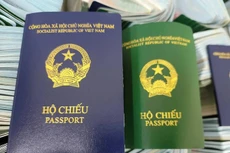 Bộ Ngoại giao lên tiếng việc Đức từ chối cấp visa cho hộ chiếu mẫu mới