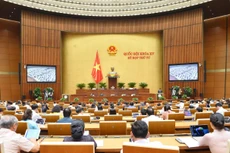 Kỳ họp thứ 4, Quốc hội khóa XV: Quốc hội thảo luận về 2 dự án Luật Thanh tra và Luật Dầu khí (sửa đổi)