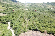 Nỗ lực về đích cùng Cụm dự án giải tỏa công suất Nhà máy nhiệt điện BOT Vân Phong 1