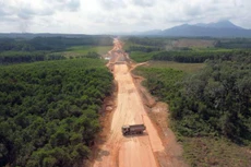 Xem xét chuyển mục đích hơn 85 ha rừng làm cao tốc Quảng Ngãi - Hoài Nhơn