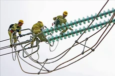 Ảnh chỉ mang tính minh họa. Nguồn Internet