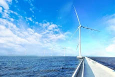 Ảnh chỉ mang tính minh họa. Nguồn Internet