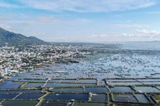 Một góc vịnh Cam Ranh. Ảnh: Zing