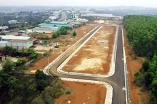 Đấu giá đất cao gấp 4 lần khởi điểm ở Gia Lai: Hủy kết quả 29 lô