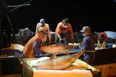 Bản tin thời sự sáng 28/6