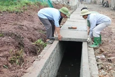 Ảnh chỉ mang tính minh họa. Nguồn Internet