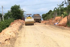 Ảnh chỉ mang tính minh họa. Nguồn Internet