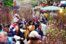 Hà Nội vừa lên kế hoạch tổ chức 91 điểm chợ hoa xuân phục vụ Tết Nguyên đán Quý Mão 2023 trên địa bàn 