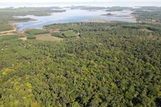 Bản tin thời sự sáng 22/6