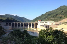 Ảnh chỉ mang tính minh họa. Nguồn Internet