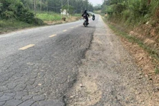 Ảnh chỉ mang tính minh họa. Nguồn Internet