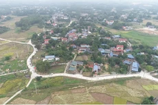 Ảnh chỉ mang tính minh họa. Nguồn Internet