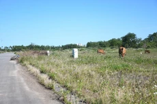 Quảng Ngãi: Đường "cụt", giá cao, 116 lô đất đưa ra đấu giá liên tục thất bại