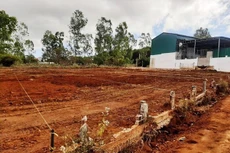 "Cò" đất giăng dây phân lô bán nền từng thửa đất 5mx25m ở xã Ia Dêr