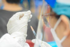 Từ ngày 15/4, Bộ Y tế sẽ thực hiện ký tập trung để cấp hộ chiếu vaccine cho người dân. Ảnh: TTXVN/Vietnam+