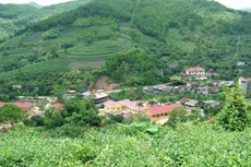 Lạng Sơn: Đấu giá 93 thửa đất Khu dân cư và Chợ trung tâm thị trấn Nông trường Thái Bình