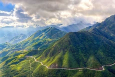 Ảnh chỉ mang tính minh họa. Nguồn Internet