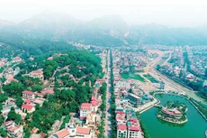 Ảnh chỉ mang tính minh họa. Nguồn Internet