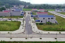 Ảnh chỉ mang tính minh họa. Nguồn Internet