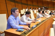 Các đại biểu ấn nút biểu quyết