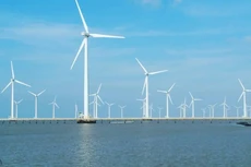 Ảnh chỉ mang tính minh họa. Nguồn Internet