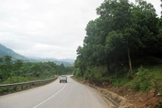 Ảnh chỉ mang tính minh họa. Nguồn Internet