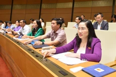 Các đại biểu Quốc hội biểu quyết thông qua dự án Nghị quyết 