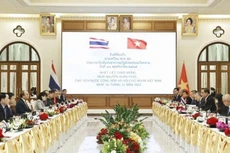 Chủ tịch nước Nguyễn Xuân Phúc và Thủ tướng Thái Lan Prayut Chan-o-cha hội đàm. Ảnh: TTXVN