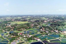 Ảnh chỉ mang tính minh họa. Nguồn Internet