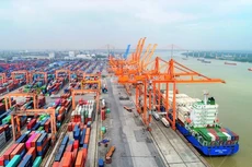 Chương trình phục hồi đang được thực hiện rất tích cực