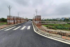 Vụ đề nghị hủy kết quả đấu giá 26 lô đất: Đang làm rõ trách nhiệm