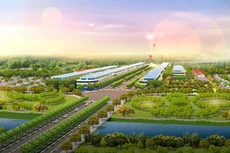 Ảnh chỉ mang tính minh họa. Nguồn Internet