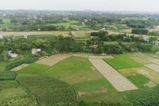 Ảnh chỉ mang tính minh họa. Nguồn Internet