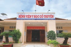 Bệnh viện Y học cổ truyền Long An hiện nay. Ảnh chỉ mang tính minh họa. Nguồn Internet