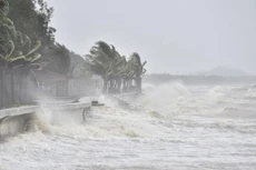 Thủ tướng Chính phủ yêu cầu tập trung ứng phó bão số 1 và mưa lũ