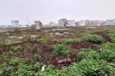 Điểm tên 11 dự án bị thu hồi ở Vĩnh Phúc