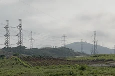 Ảnh chỉ mang tính minh họa. Nguồn Internet