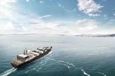 Ảnh chỉ mang tính minh họa: Internet