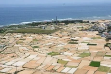 Ảnh chỉ mang tính minh họa. Nguồn Internet