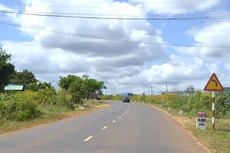 Ảnh chỉ mang tính minh họa. Nguồn Internet